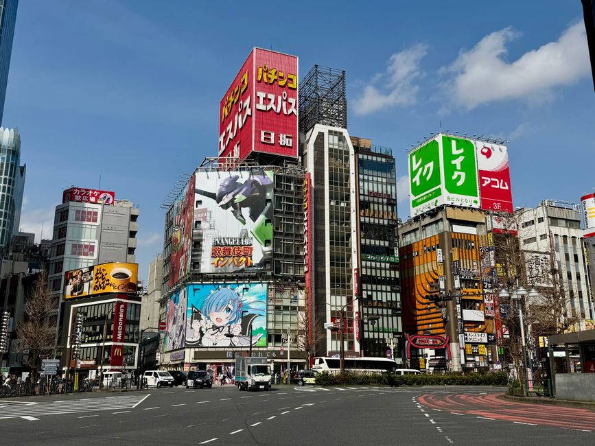 Parte 7
BENVENUTO IN GIAPPONE 🇯🇵
TOKYO