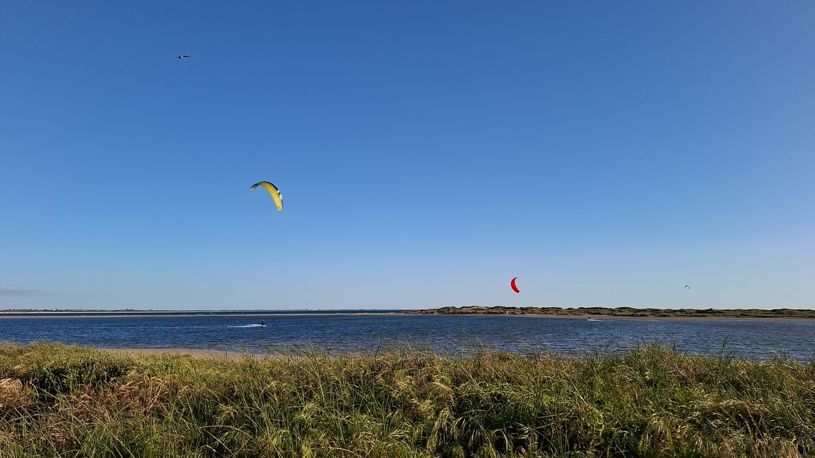 The Pond - Kitespot 