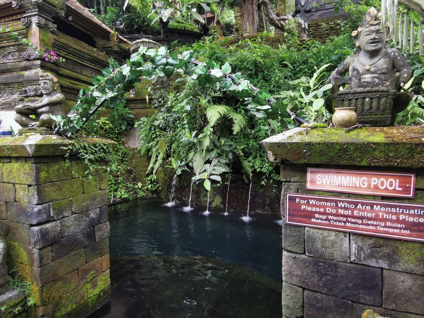 Excursión de un día a Ubud y Tegallalang
