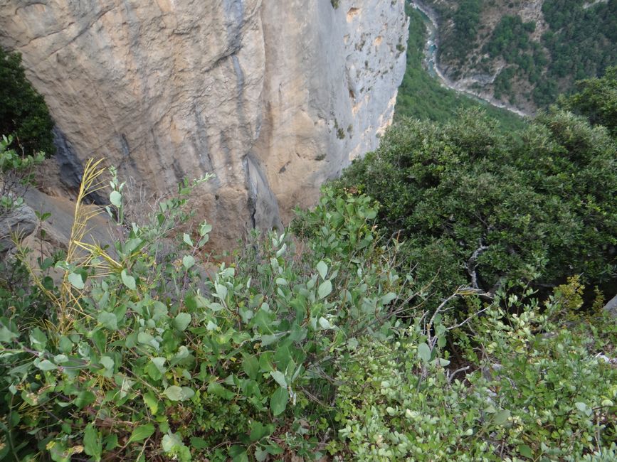 Etappe 4: Menton - Gorge du Verdon- Saint Julien-du-Verdon 