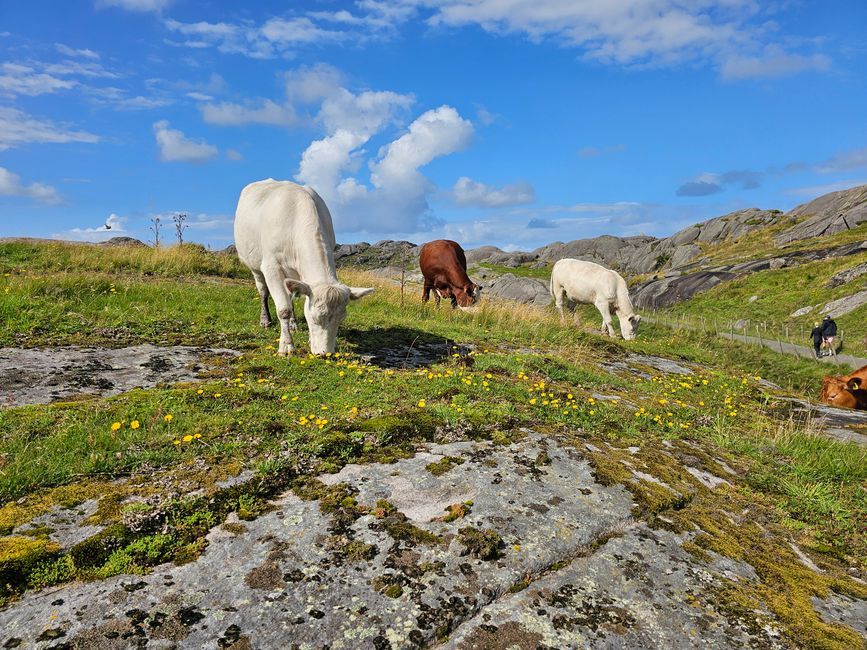 Eigerøy Fyr