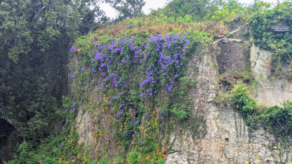 12. Etappe Camino del Norte von Pendueles nach Barro