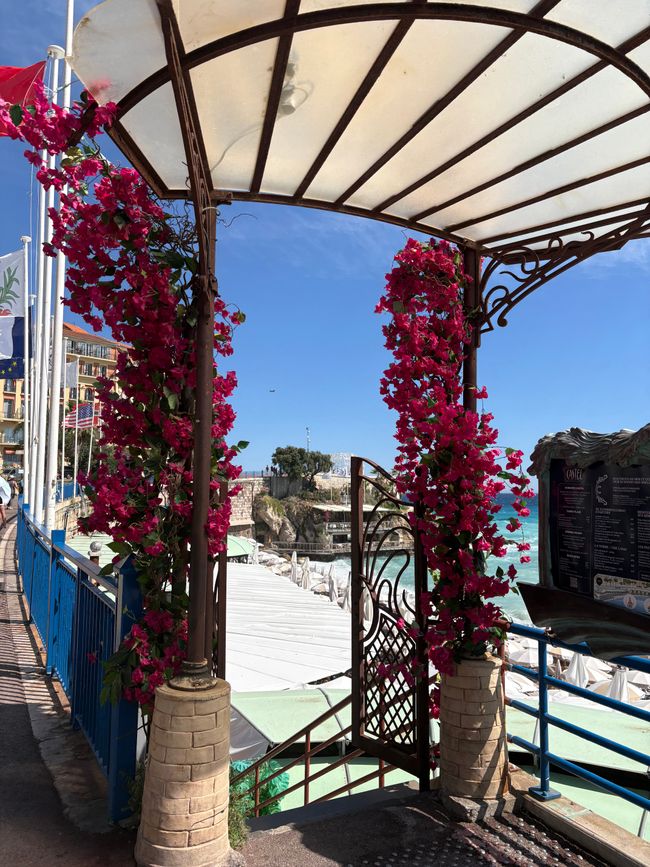 #4/4 - Nizza - Mont Boron - Villa Ephrussi de Rothschilds - Beachclub - Rückreise