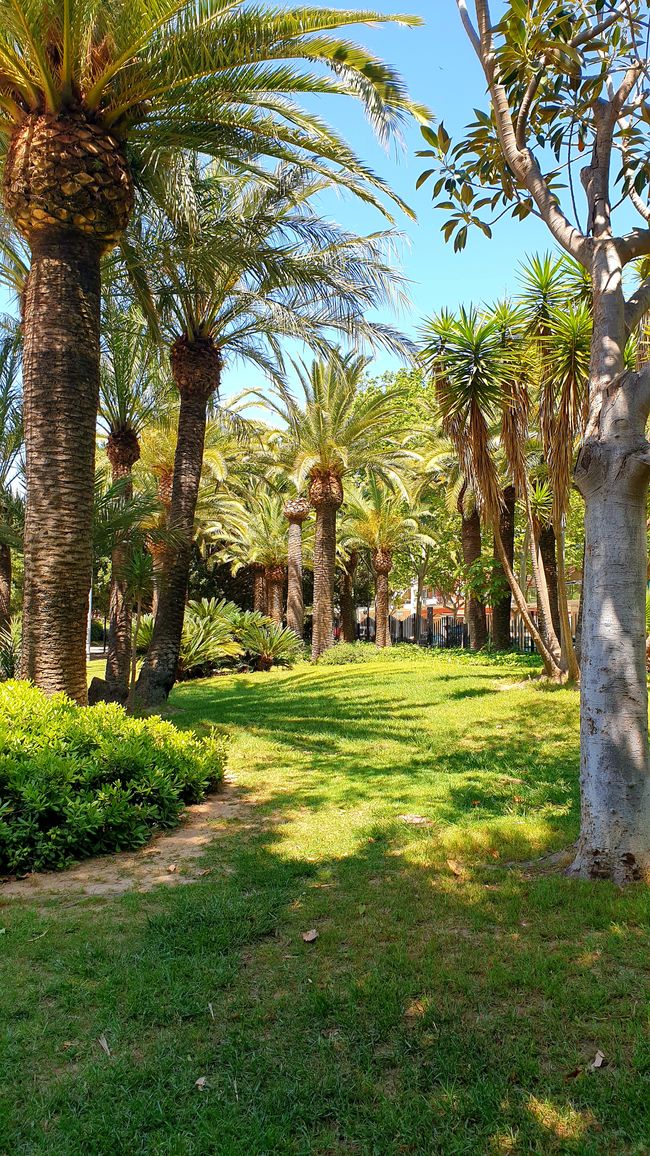 Byby Espagne...