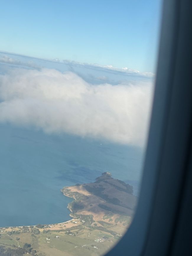 Kia Ora Aotearoa ❤️, 13.01.25
