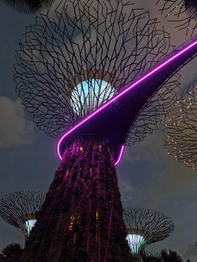 Gardens by the Bay - In Concert