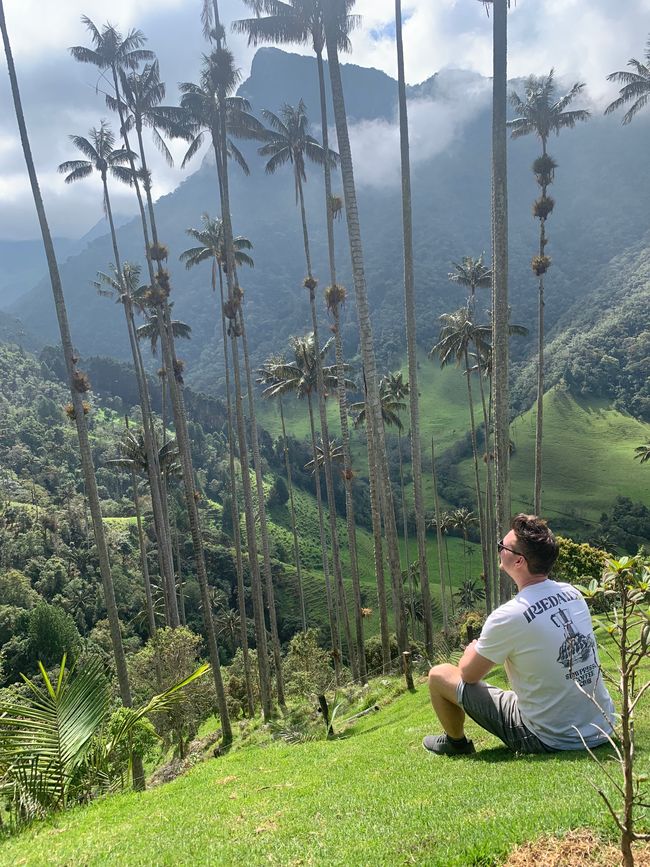 Día 4: Valle de Cocora 🌴, Salento 🏘️, Plantación de café ☕️