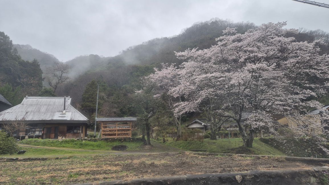 Somakosha Schule, Okayama