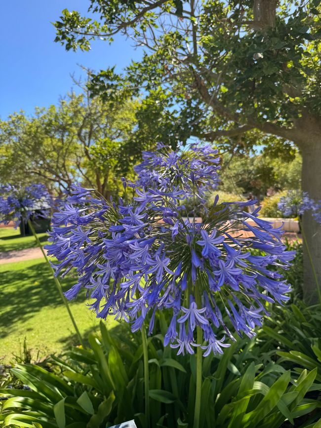 南非🇿🇦第二周