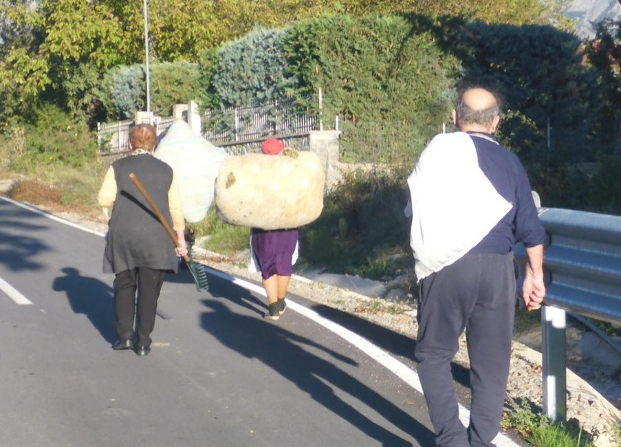 Die Frauen schleppen Grünzeugs nach Hause 