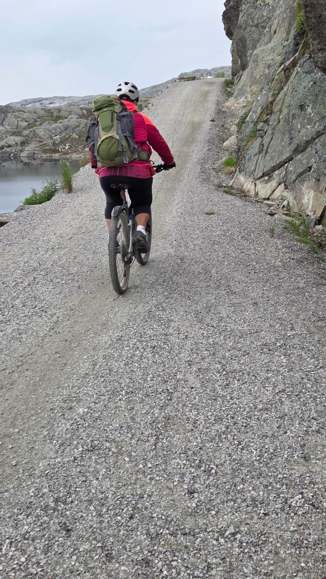 Rallarvegen Etappe 2 Finse - Flam