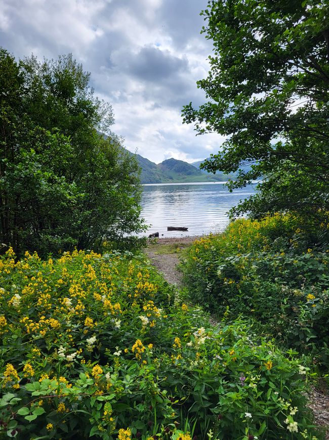 Hike to Aira Force Waterfall