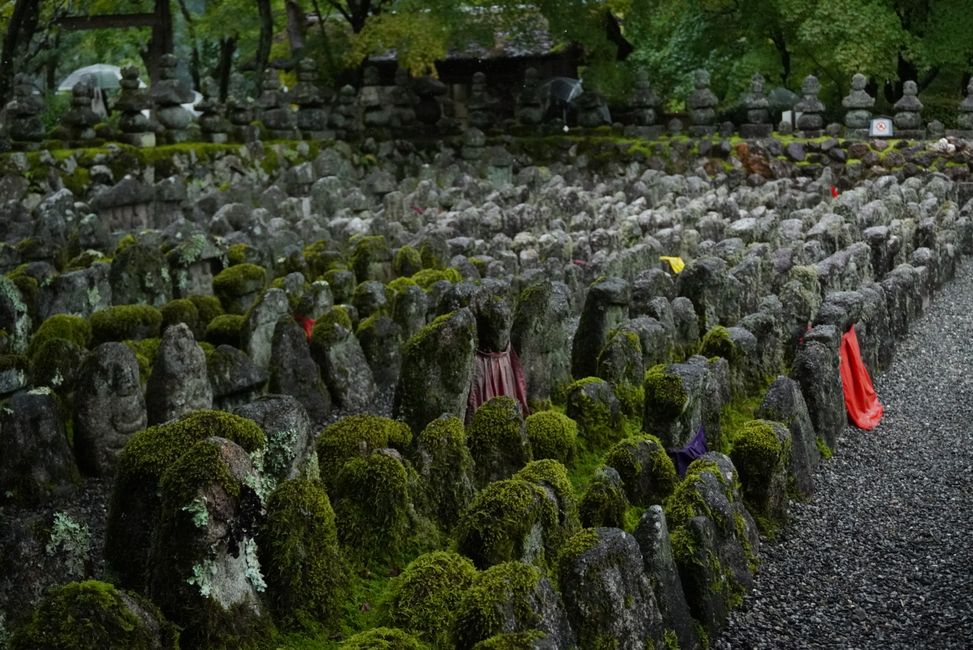 Gartenbesichtigung im regnerischen Kyoto