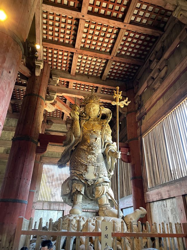 15. Capitolo: Visita al grande Buddha e sabato pomeriggio nel parco con proposta dal vivo
