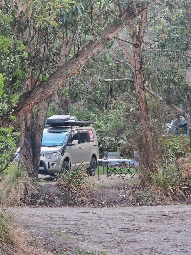 Campingplatz im Great Otway Nationalpark im Wald am Meer