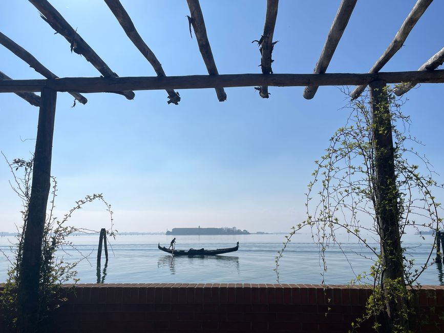 Laguna