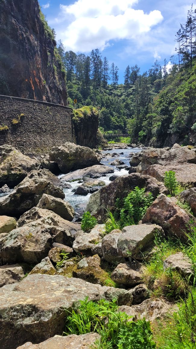 On the Trail of the Gold and Ore Mine in the Karangahake Gorge