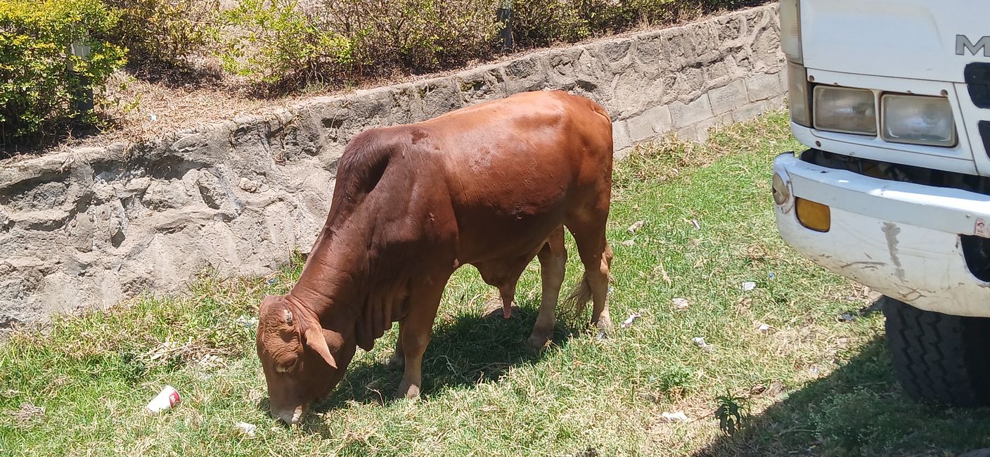 In the Land of the Maasai 2