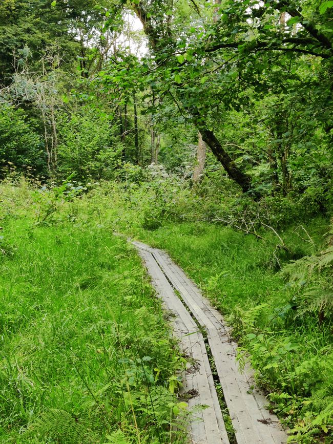 Parque Nacional de Brecon Beacons