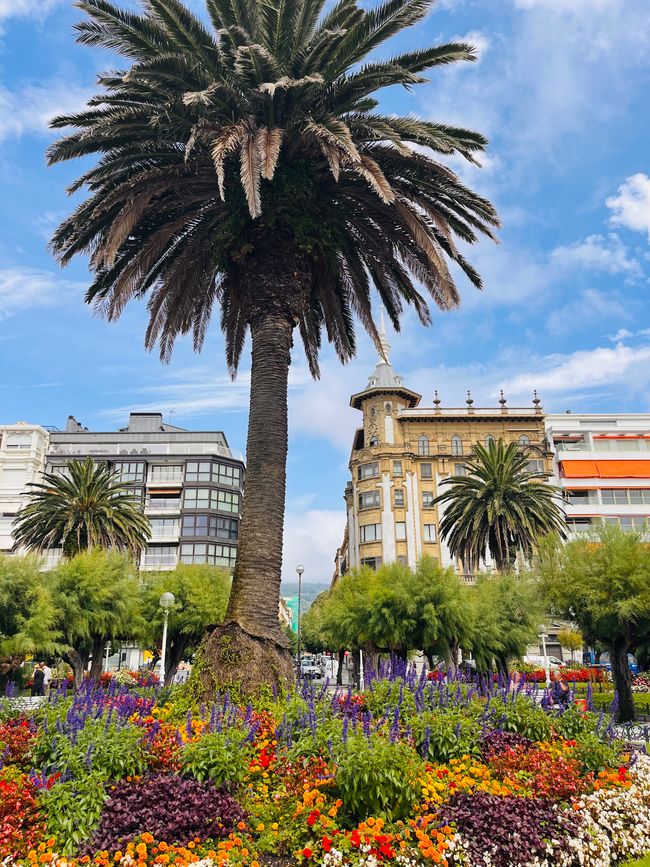 Ein Hauch von Nizza oder Biarritz