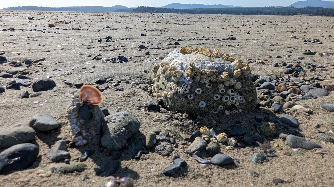 Rathtrevor Beach PP