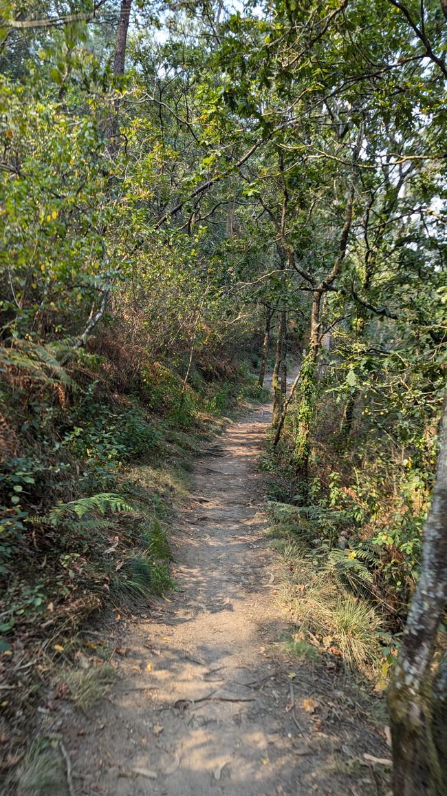 Third stage of Camino da Costa from Apulia Praia to Viana do Castelo