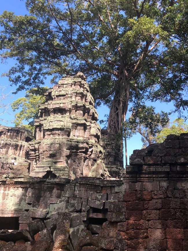 Tempel Ta Prohm