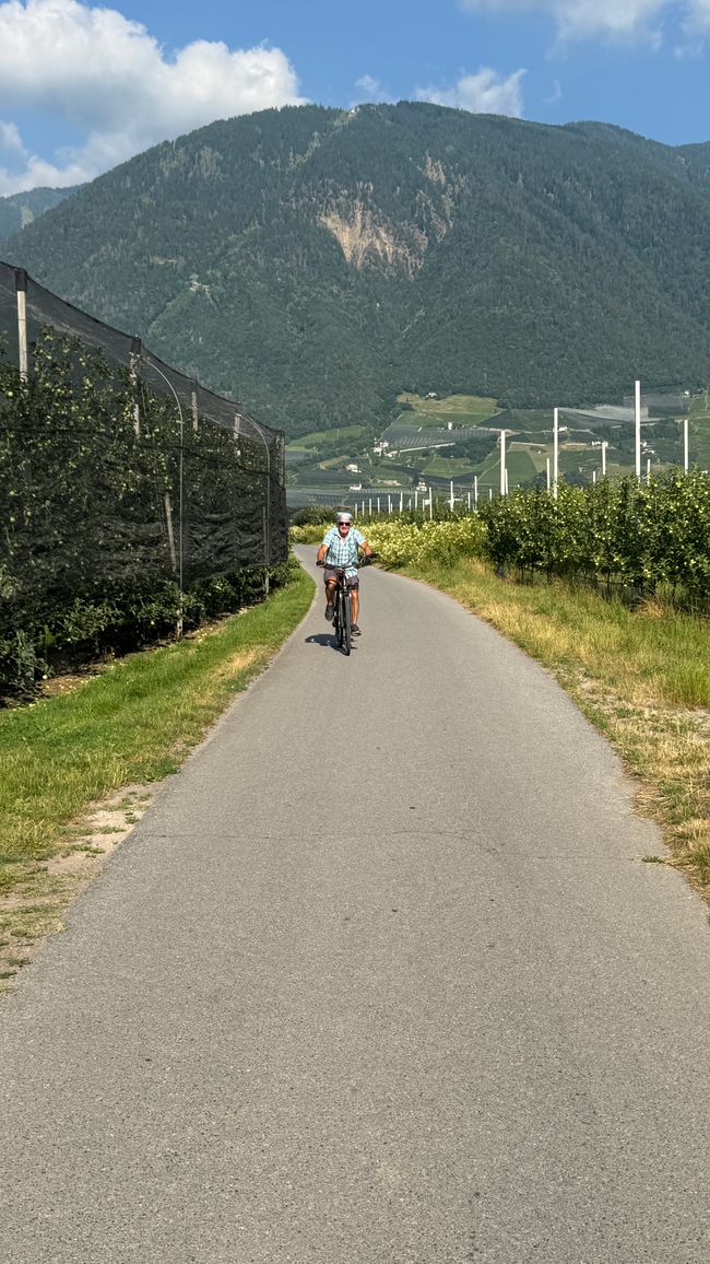 Fahrt durch die Apfelplantagen
