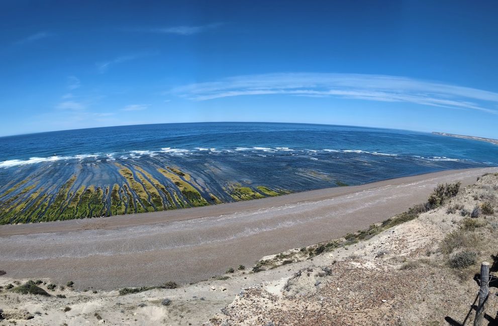 25. Day 29.1.25 Puerto Madryn