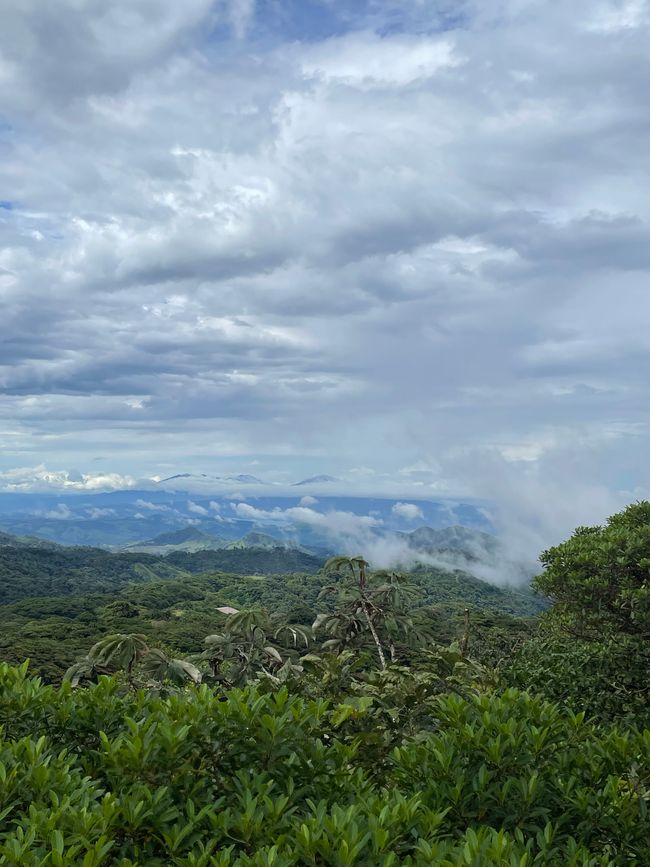 Ausblick in die Region