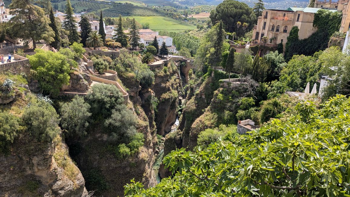 Ronda