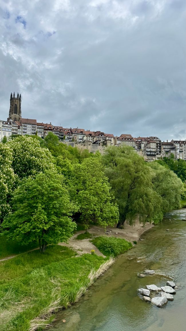 Von Freiburg nach Interlaken - Städtetour, Wings for Life & Wanderglück
