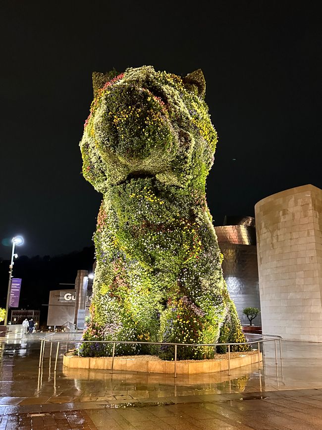 Von Salamanca nach Bilbao: Eine Reise durch Nebel, Berge und Wälder