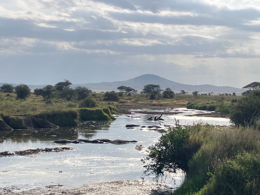 En la Serengeti - Día 2