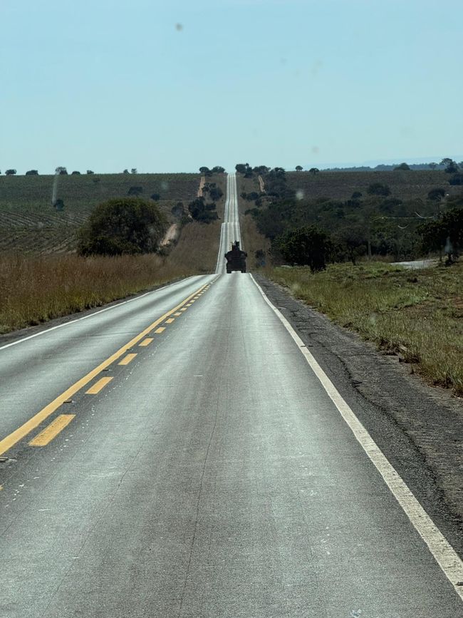 Llegada a la región sur del Amazonas y visita a las Aras