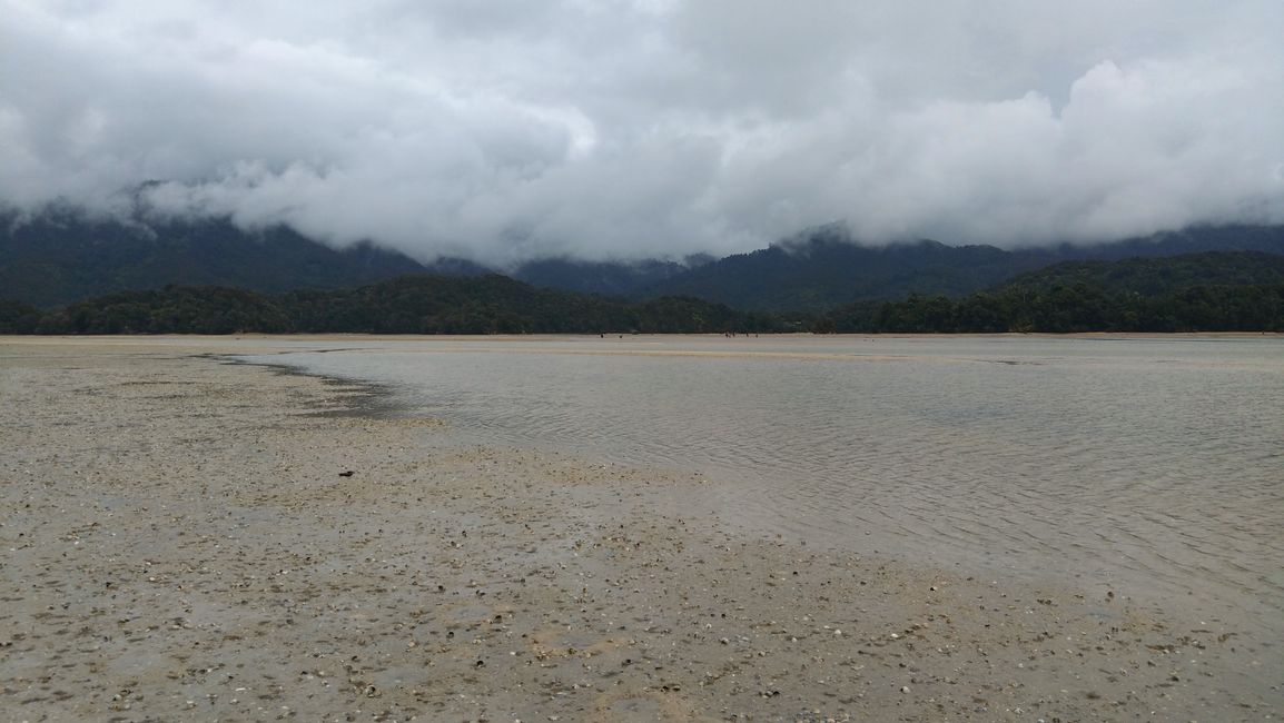 Abel Tasman