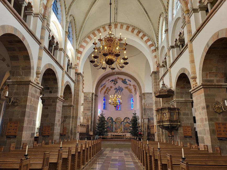 Dom Ribe