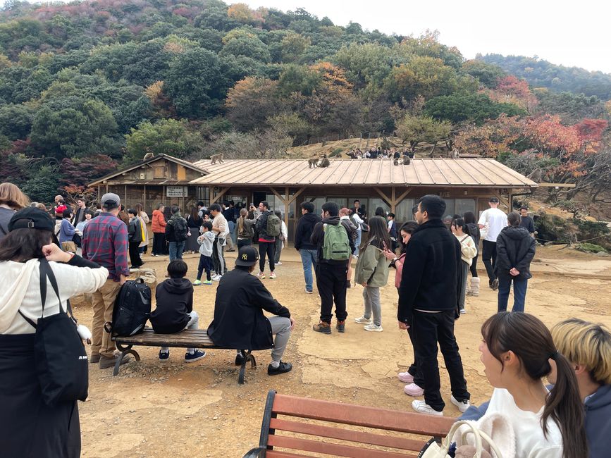 23.Kapitel: Arashiyama oder ein Tag von vorne bis hinten gelungen