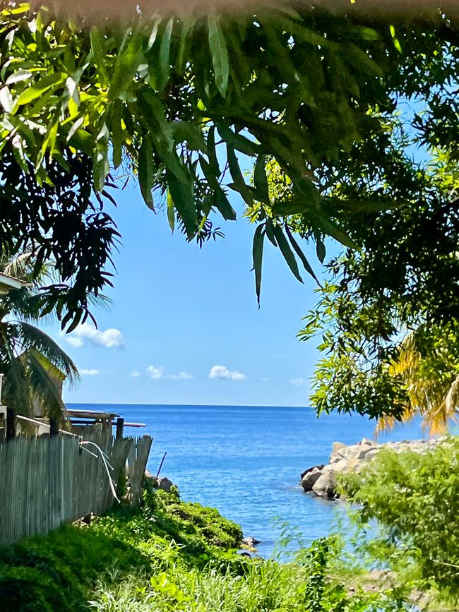 Tag 16 - St. Kitts