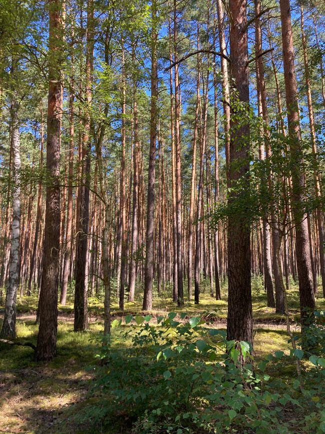 Himmelpfort-Fürstensee-Neustrelitz y un encuentro con dos hombres