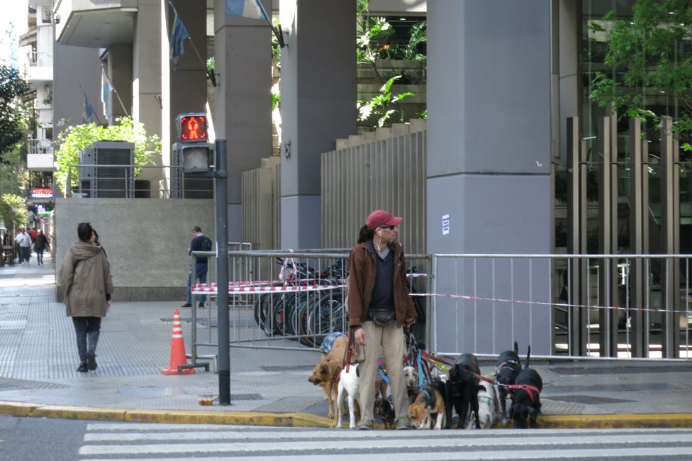 Buenos Aires - das Paris Südamerikas oder doch New York!?