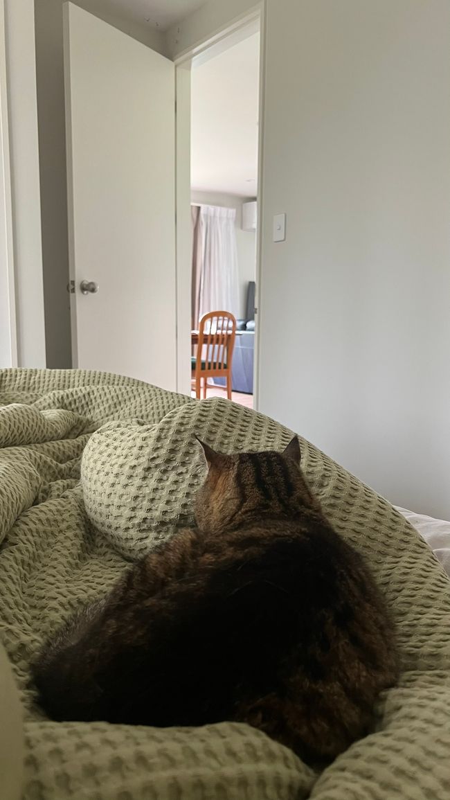 Luna zum ersten mal bei uns im Bett