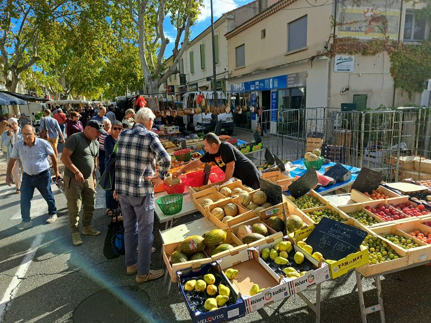 On the bridge of Avignon