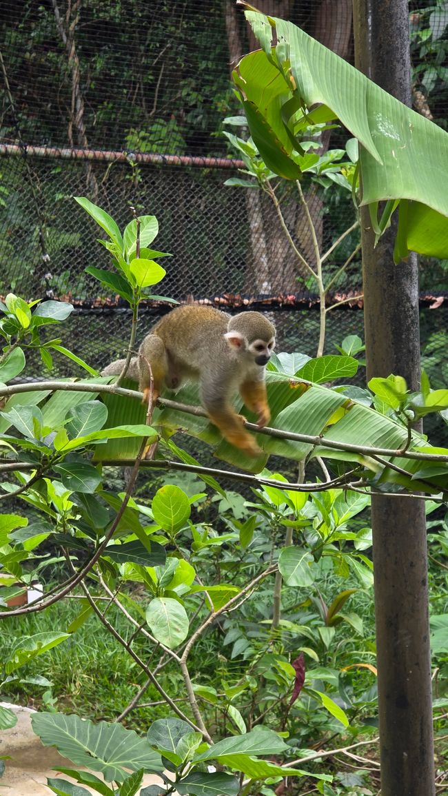 Okinawa Nuchi du takara (Life is the very thing we treasure)