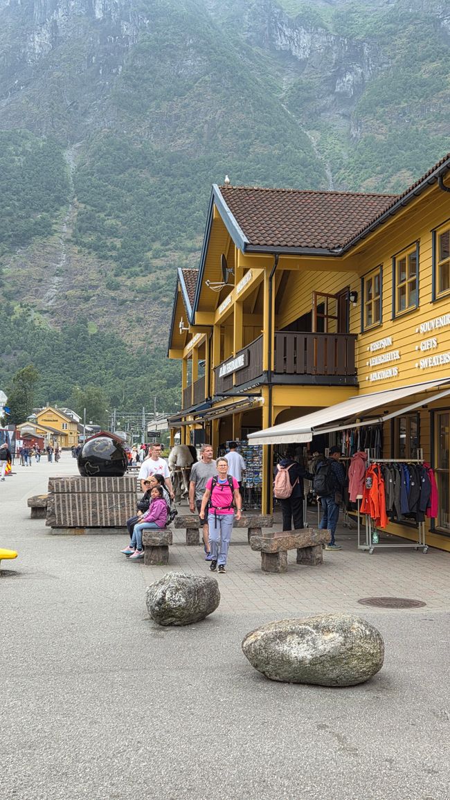 Rallarvegen Etappe 2 Finse - Flam