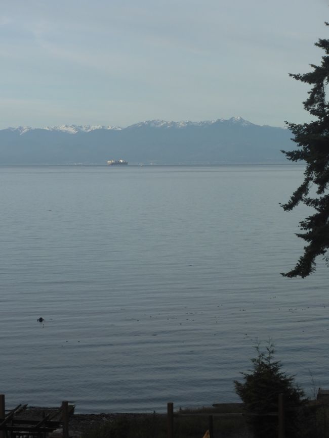 2025-05-21 Vancouver Island Wwoof