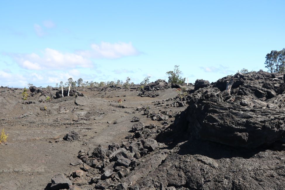 Wir besuchen den Kilauea Vulkan