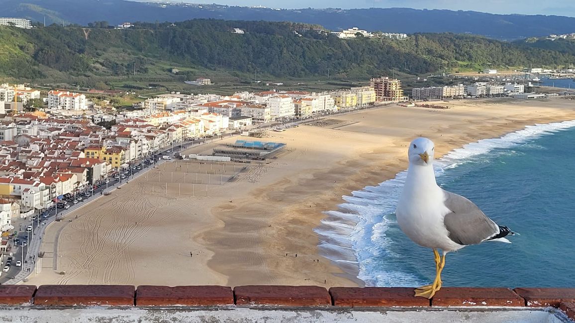 Nazaré und Umgebung
