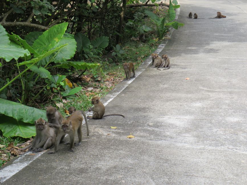 Thailand - Koh Lanta