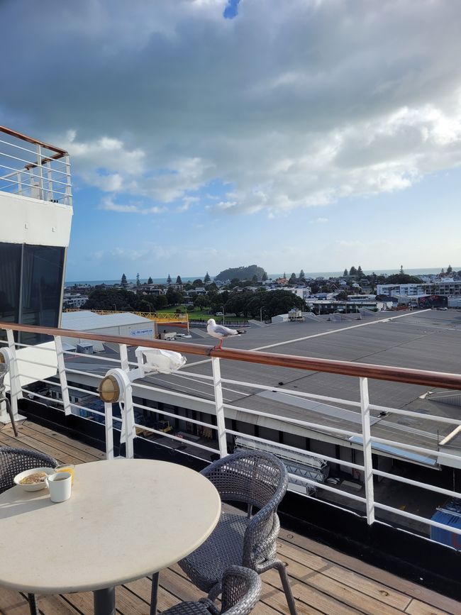 Día 68 de 175: Crucero alrededor del mundo - Tauranga/Nueva Zelanda